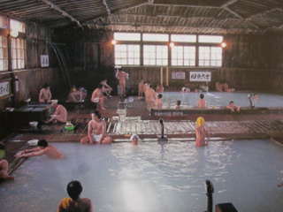 qolC|p|